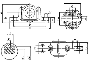 sn600